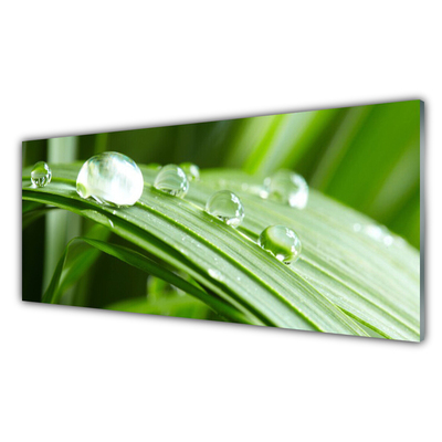 Glas bild Leaf Dew Drops