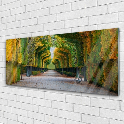 Glasbild Park Höstträdgård Natur