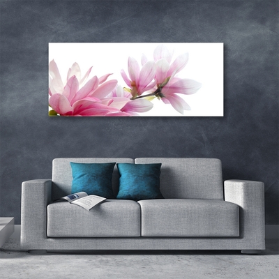 Glasbild Magnolia blomma