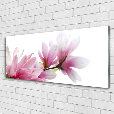 Glasbild Magnolia blomma