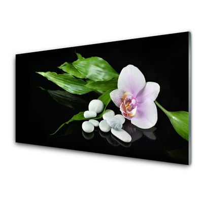 Glasbild Blomma stenar blad