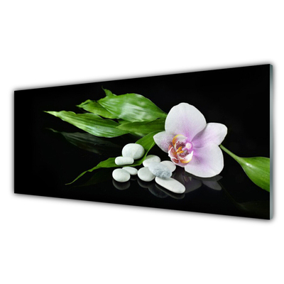 Glasbild Blomma stenar blad