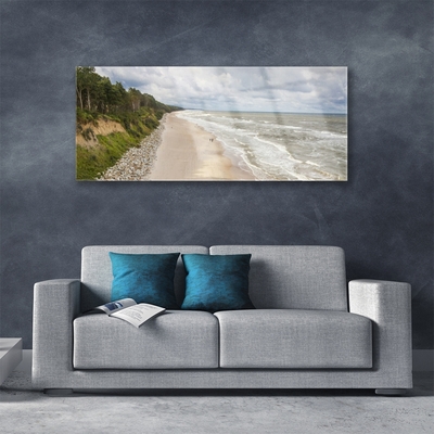 Bild på glas Strand Havsträd Natur