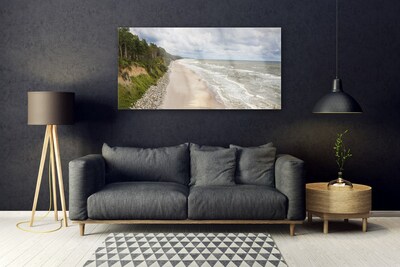 Bild på glas Strand Havsträd Natur