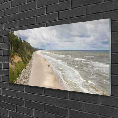 Bild på glas Strand Havsträd Natur