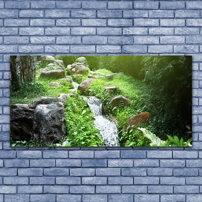 Fototryck på glas Stream Grass Nature Plant