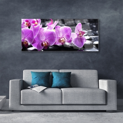 Fototryck på glas Blomma På Väggen