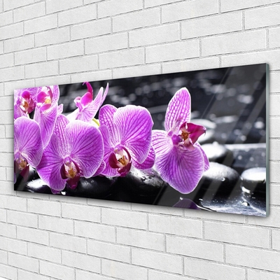 Fototryck på glas Blomma På Väggen