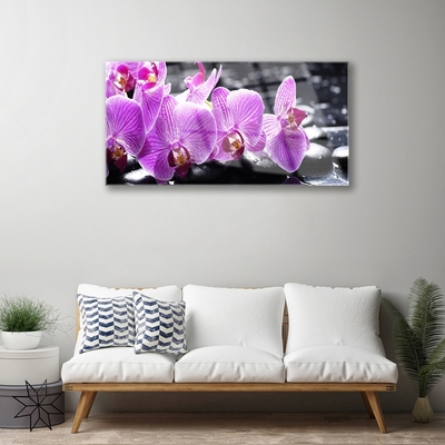 Fototryck på glas Blomma På Väggen