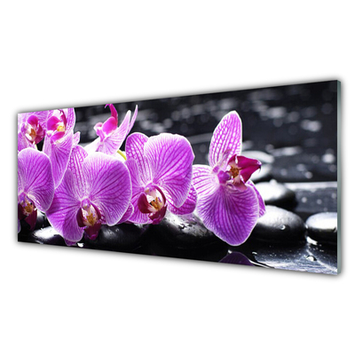 Fototryck på glas Blomma På Väggen
