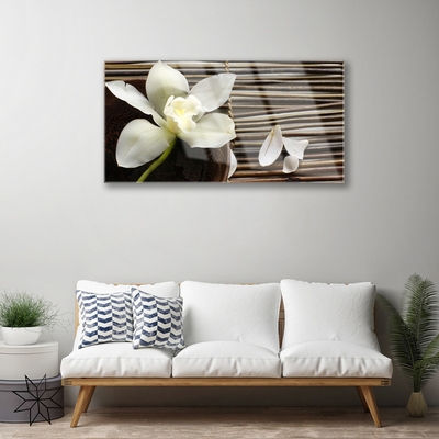 Fototryck på glas Blomma På Väggen