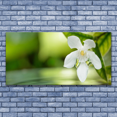 Bild på glas Blomma blad