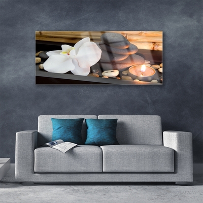 Glasbild Spa Orchid ljus