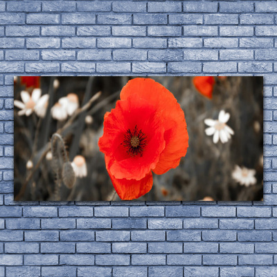 Fototryck på glas Blommor Växt