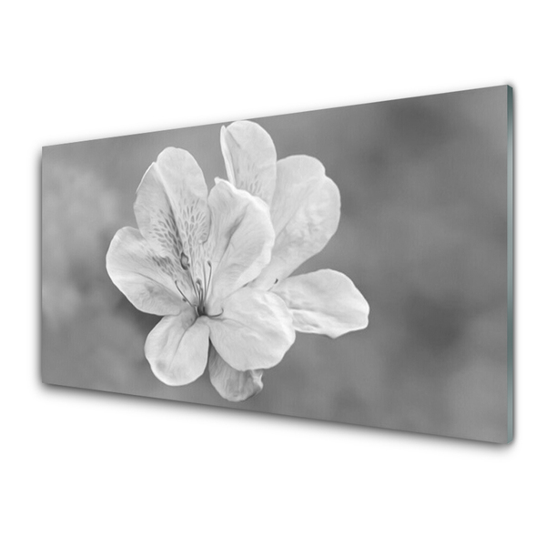 Glas bild Blommor Växt