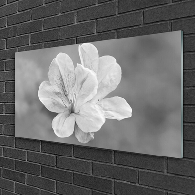Glas bild Blommor Växt