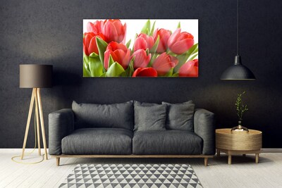 Glasbild Tulpaner Blommor Plant