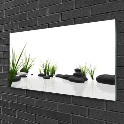 Glas bild Stones Grass Art