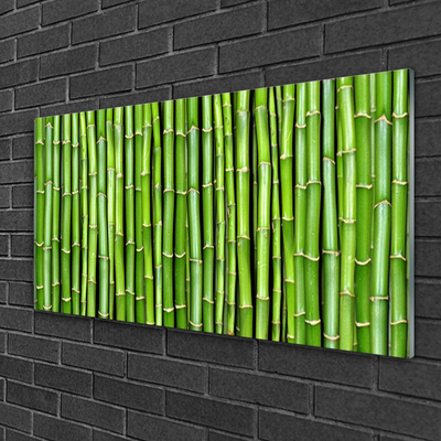 Glasbild Bambu blomma växt