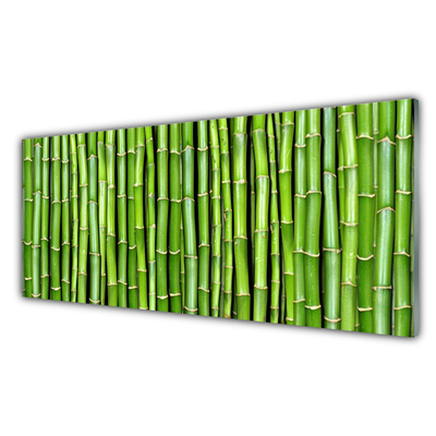 Glasbild Bambu blomma växt