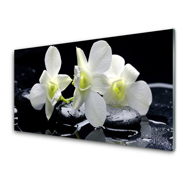 Bild på glas Vit orkidéblomma