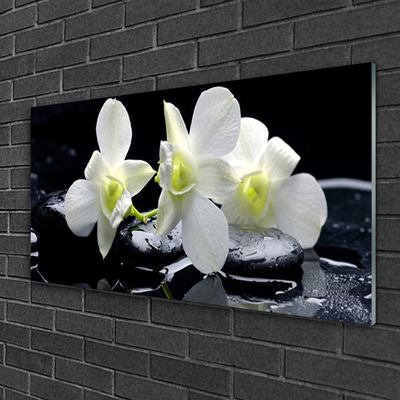 Bild på glas Vit orkidéblomma
