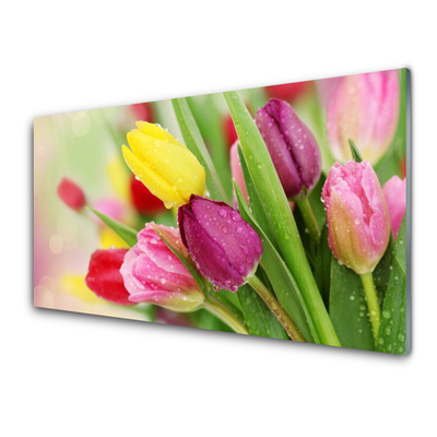 Glas bild Tulpaner Blommor Plant