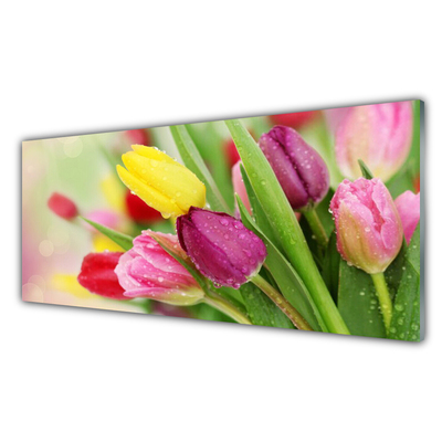 Glas bild Tulpaner Blommor Plant