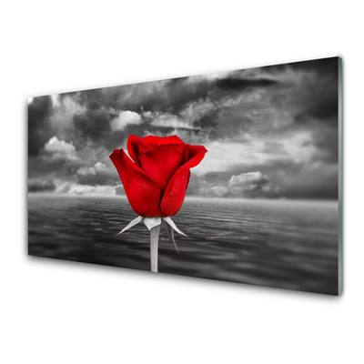 Glasbild Rose Flower Plant Sea