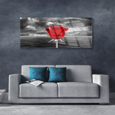 Glasbild Rose Flower Plant Sea