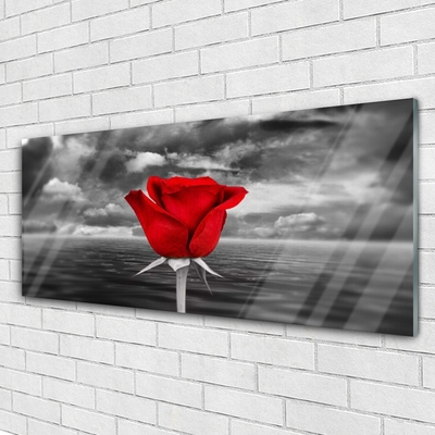 Glasbild Rose Flower Plant Sea