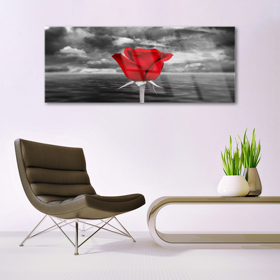 Glasbild Rose Flower Plant Sea