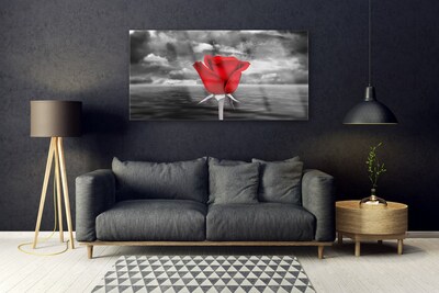 Glasbild Rose Flower Plant Sea