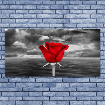 Glasbild Rose Flower Plant Sea