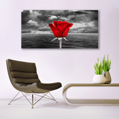 Glasbild Rose Flower Plant Sea