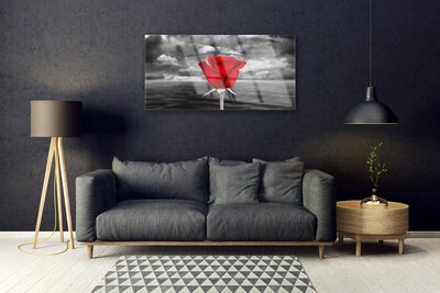 Glasbild Rose Flower Plant Sea