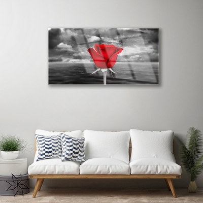 Glasbild Rose Flower Plant Sea