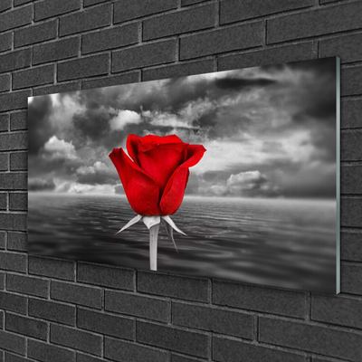 Glasbild Rose Flower Plant Sea