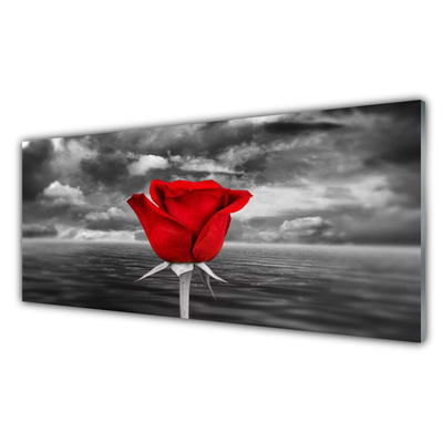 Glasbild Rose Flower Plant Sea