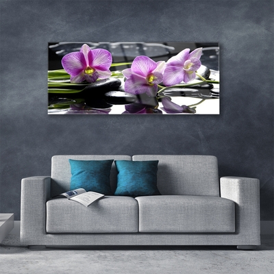 Fototryck på glas Blomma orkidéväxt