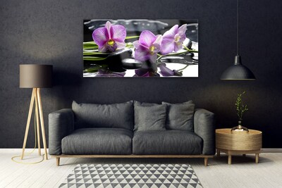 Fototryck på glas Blomma orkidéväxt