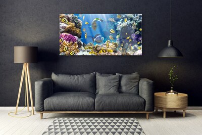Glasbild Korallrevs natur