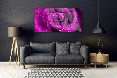 Glasbild Rose Flower Plant Nature