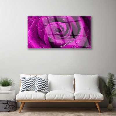 Glasbild Rose Flower Plant Nature