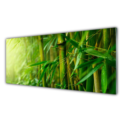 Glasbild Bambu stjälkar växt