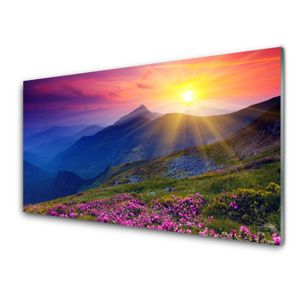 Glas bild Mountain Flower Meadow Landskap