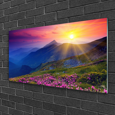 Glas bild Mountain Flower Meadow Landskap