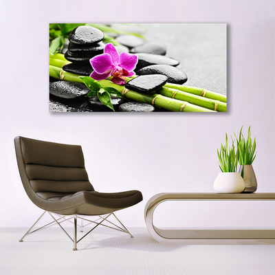 Glasbild bambu Blomstenar Art