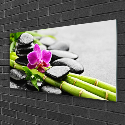 Glasbild bambu Blomstenar Art