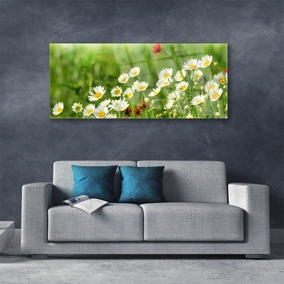 Glas bild Daisy Plant Nature